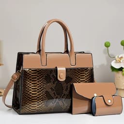 3in one Bag