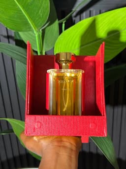 Avantiii perfume