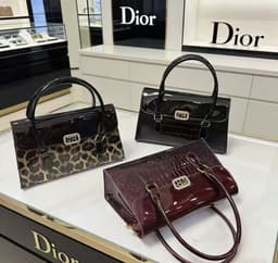 Dior bag